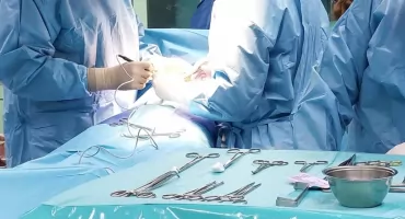 Na koniec 2025 roku dostali szansę na nowe życie