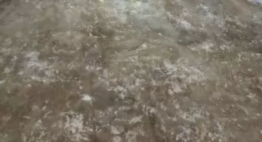 Starachowice wciąż na lodzie. Mieszkańcy skarżą się na fatalny stan chodników i problemy z odbiorem odpadów