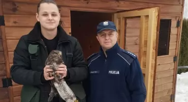 Serce dla dzikiej przyrody. Uczeń szkoły leśnej z gm. Brody pomaga rannemu myszołowowi
