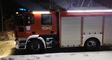 Ze strażackiej kroniki - zalane piwnice, pożar sadzy, ptaszek na uwięzi...