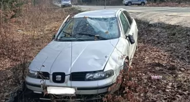 Dachowanie między Lubienią a Starchowicami