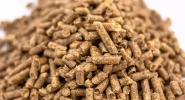 Jakość opału pod lupą. Dlaczego warto zainwestować w profesjonalny wilgotnościomierz do pelletu?