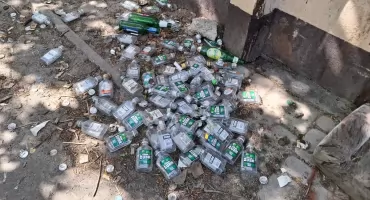Małpki z dużym powodzeniem, pod oknem służb miejskich 