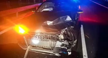 Nocne zderzenie z sarną w obwodnicy Wąchocka