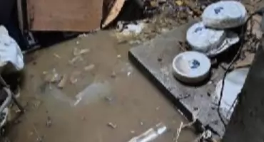 Potężna nawałnica spustoszyła Starachowice i okolic. Powalone drzewa, zalane piwnice i ogromne straty
