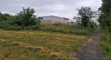  Miasto chce kupić od powiatu teren przy ul. Radomskiej. Czy powstaną tam mieszkania?