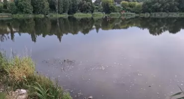 Pomór małż nad Pasternikiem! Gmina Starachowice zabrała głos!
