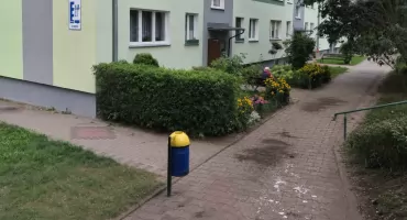 Uporczywe dokarmianie gołębi przy Górnej. Kto z tym zrobi porządek?