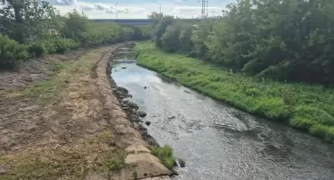  Czytelnicy ze Starachowic interweniują. Czyszczą Kamienną, szkodzą środowisku?