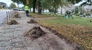 Chodnik odzyskany. Starachowiczanka robi porządek
