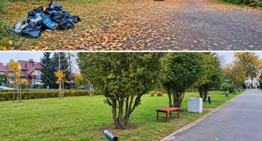  Czytelnicy ze Starachowic interweniują. Śmieci w lesie i uszkodzona lampa