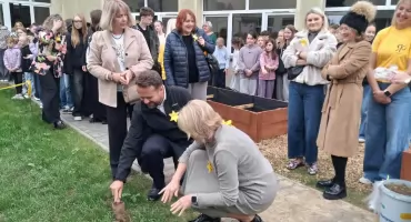  Pola Nadziei w Szkole Podstawowej nr 10. Uczniowie sadzili żonkile dla osób potrzebujących wsparcia